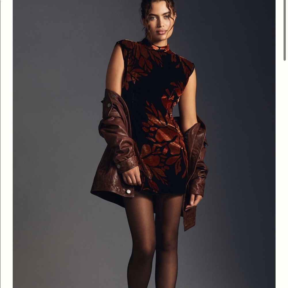 COPY - By Anthropologie Velvet Shift Dress